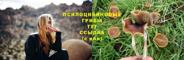 соль курить ск Гусь-Хрустальный