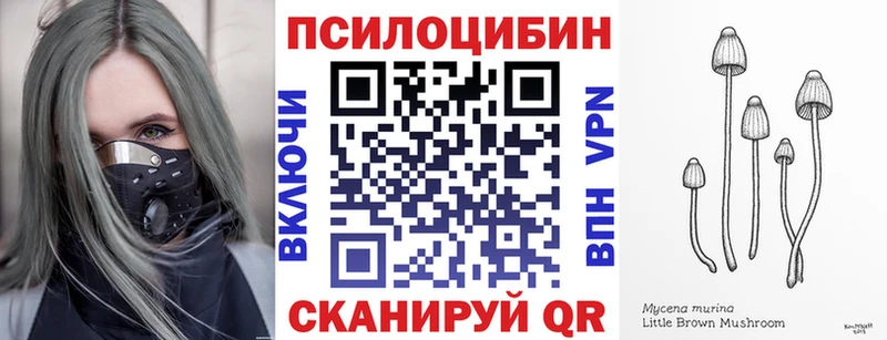 blacksprut как зайти  цены наркотик  Новочебоксарск  Псилоцибиновые грибы Magic Shrooms 